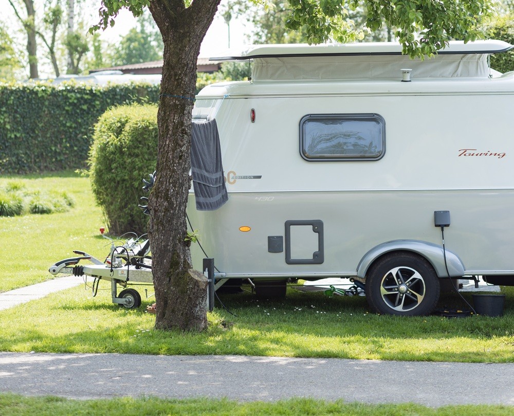 Vakantiepark en camping met zwem- en visvijver in Betuwe